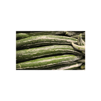 Snake gourd | Vegetables Names for Kids in English