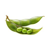 Snow peas