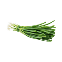 Spring onion