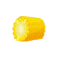 Sweet corn