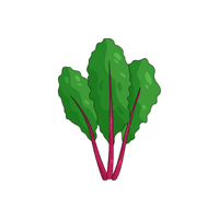 Swiss chard