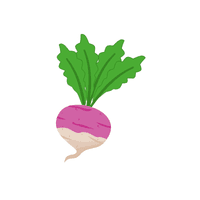 Turnip | Vegetables Names for Kids in English