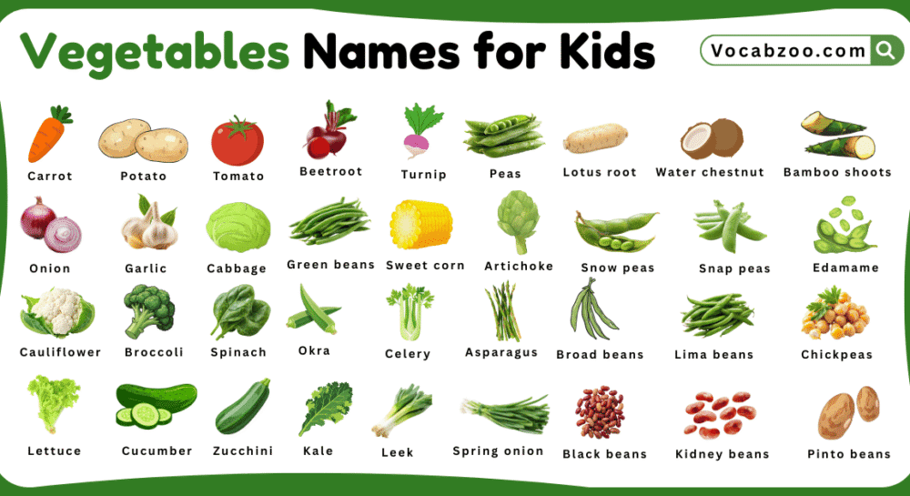 Vegetables Names for Kids in English with Pictures