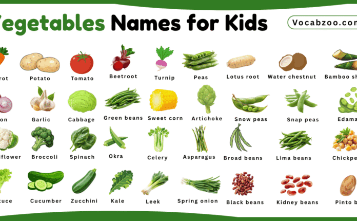 Vegetables Names for Kids in English with Pictures