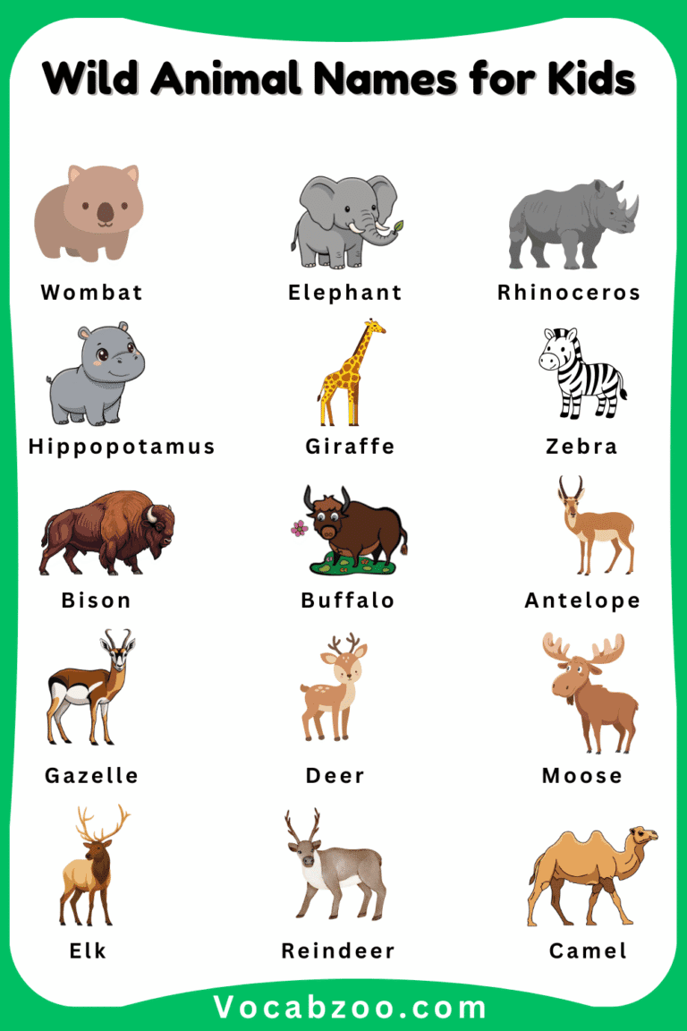 Wild Animal Names for Kids in English with Pictures - Vocabzoo