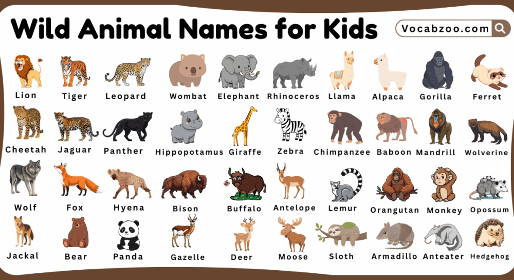 Wild Animal Names for Kids in English with Pictures
