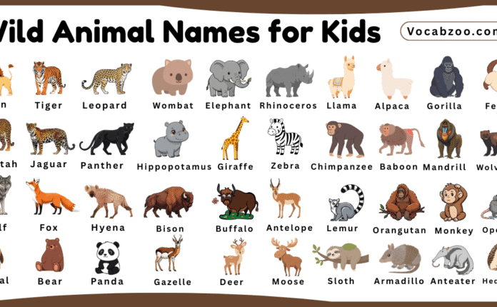 Wild Animal Names for Kids in English with Pictures