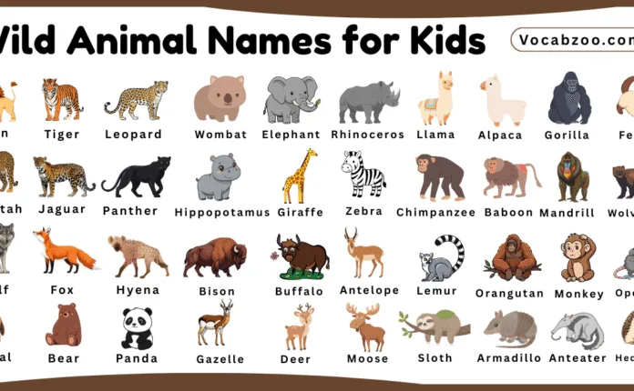 Wild Animal Names for Kids in English with Pictures