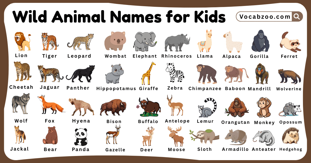 Wild Animal Names for Kids in English with Pictures