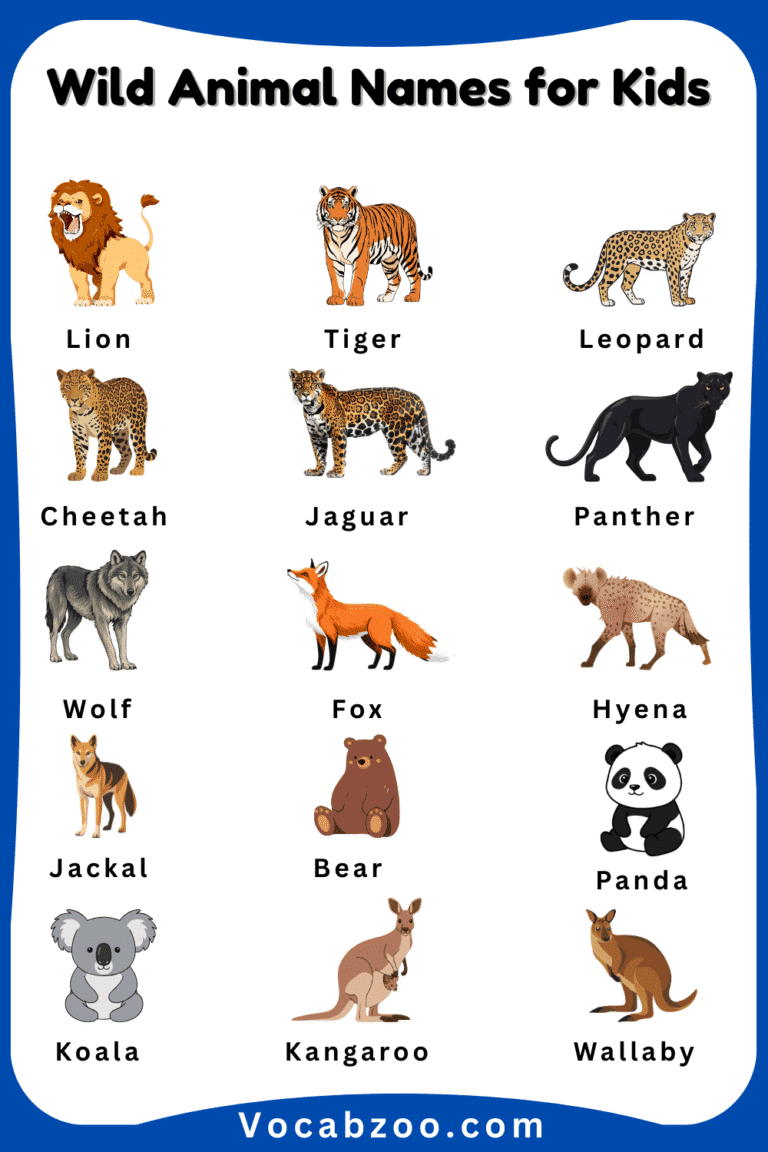 Wild Animal Names for Kids in English with Pictures - Vocabzoo