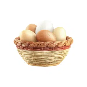 Egg Basket | Farm Tools Names for Kids in English