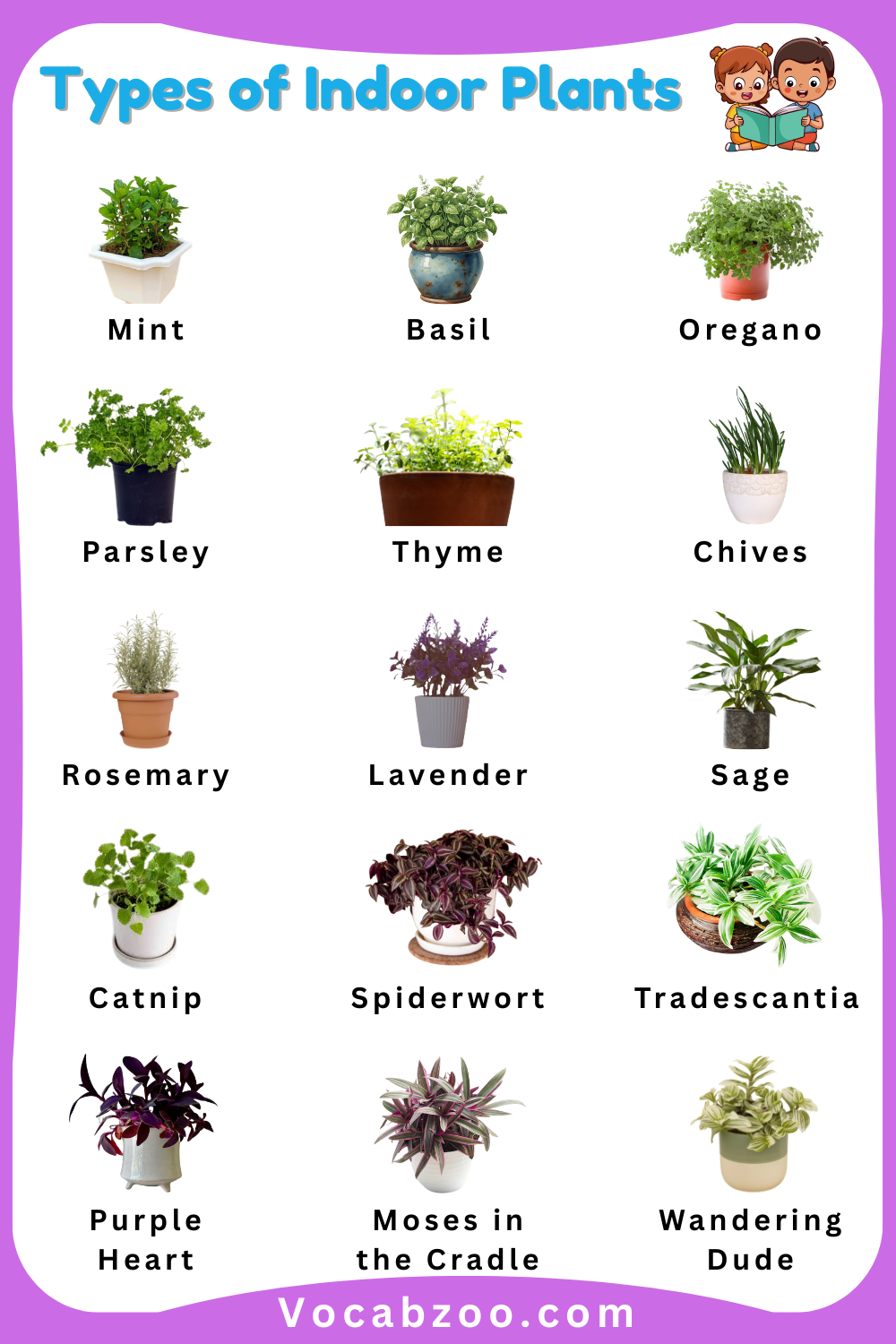 A to Z Indoor Plants for Kids in English with Images