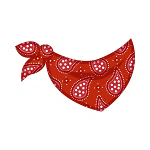 Bandana | Clothes Names for Kids in English