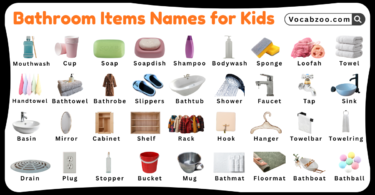 Bathroom Items Names for Kids in English with Pictures
