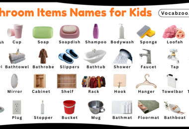 Bathroom Items Names for Kids in English with Pictures