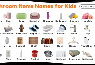 Bathroom Items Names for Kids in English with Pictures