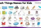 Beach Things Names for Kids in English with Pictures