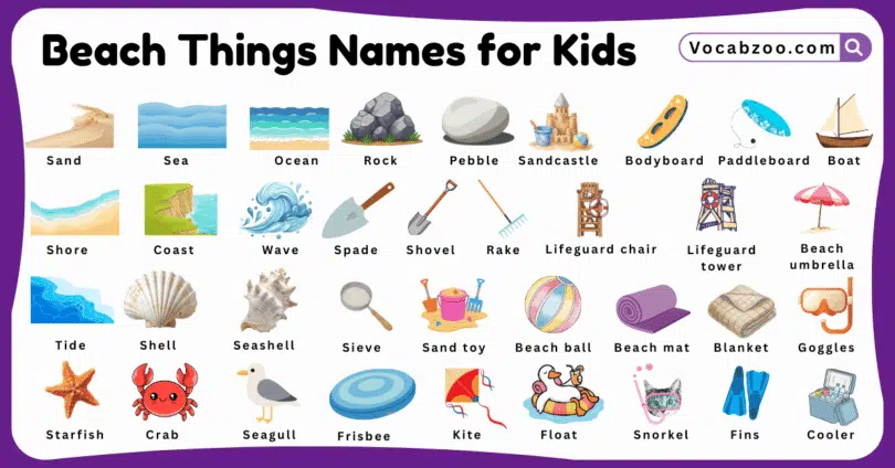 Beach Things Names for Kids in English with Pictures