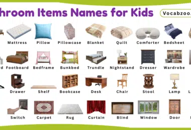 Bedroom Items Names for Kids in English with Pictures