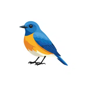 Bluebird | Bird Names for Kids in English with Pictures