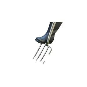 Border Fork