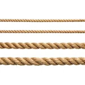 Boundary-rope | Sports Items Names for Kids