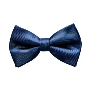 Bowtie | Clothes Names for Kids in English