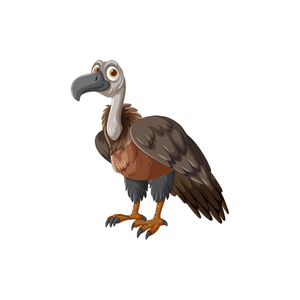 Buzzard | Bird Names for Kids in English with Pictures