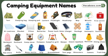 Camping Equipment Names for Kids in English with Pictures