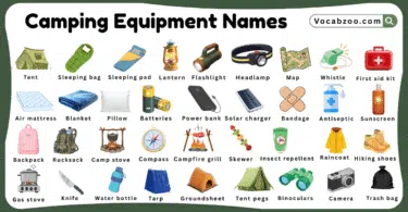 Camping Equipment Names for Kids in English with Pictures