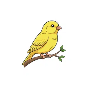Canary | Bird Names for Kids in English with Pictures