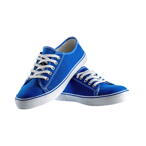 Canvas Shoes