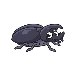 Carpet Beetle | Insect Names for Kids in English