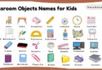 Classroom Objects Names for Kids in English with Pictures