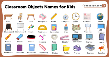 Classroom Objects Names for Kids in English with Pictures