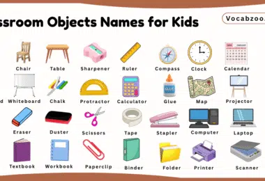 Classroom Objects Names for Kids in English with Pictures