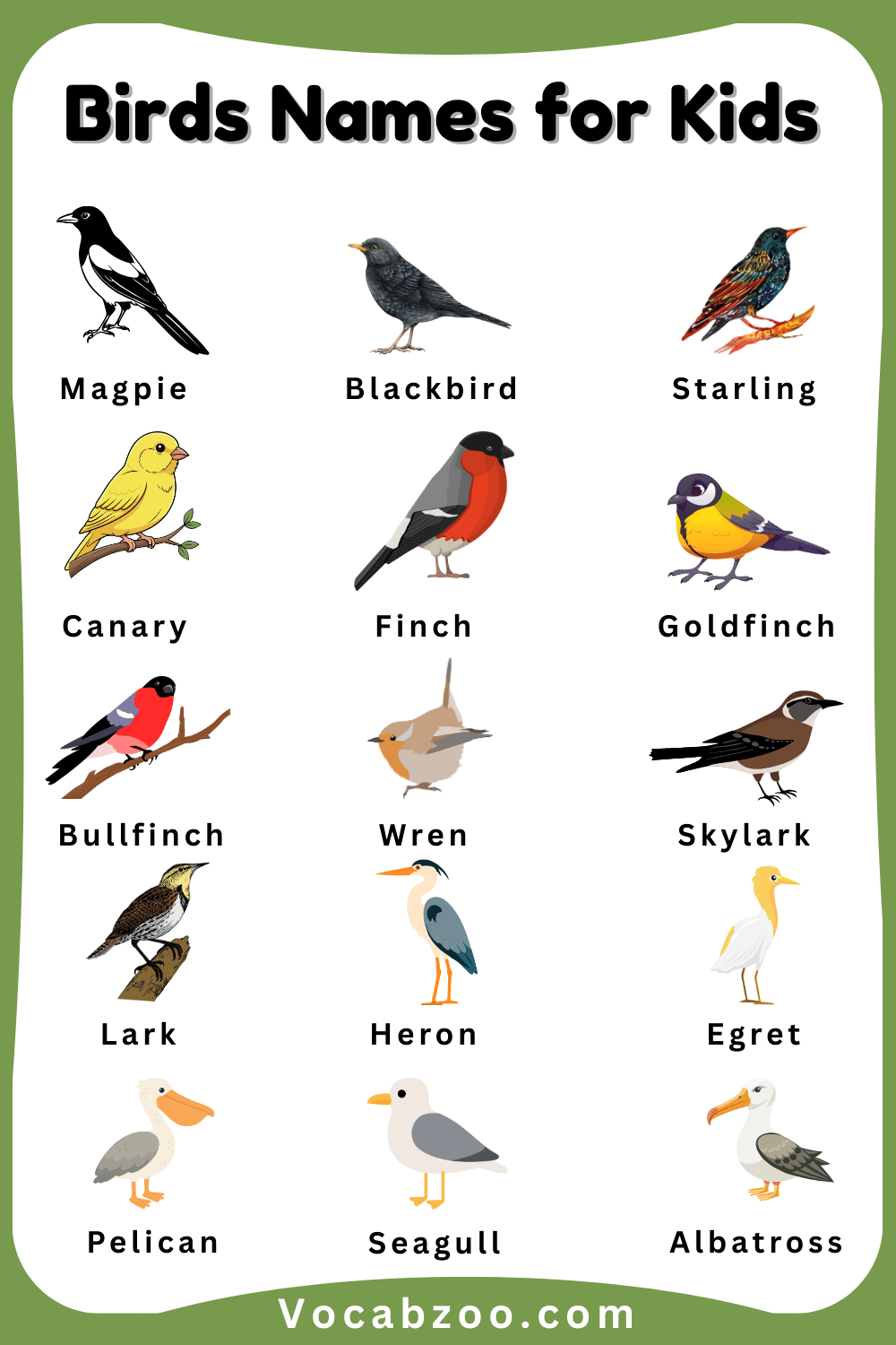 Common Bird Names for Kids and Images