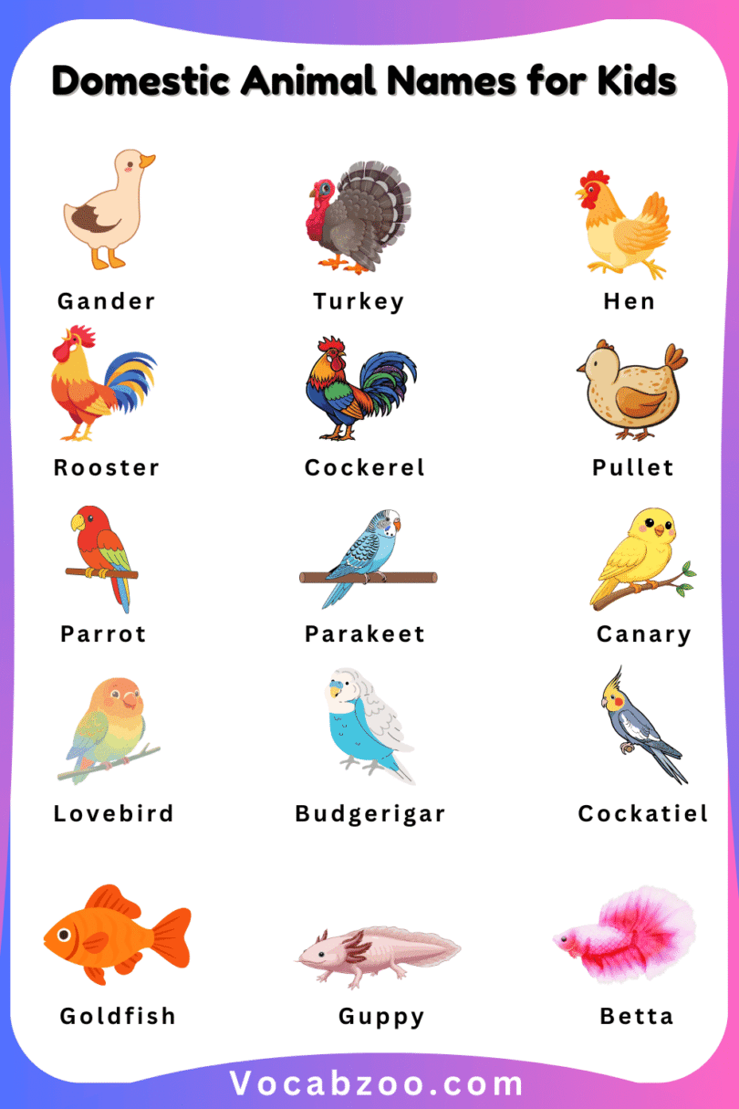 Domestic Animal Names for Kids in English with Pictures - Vocabzoo
