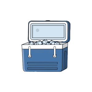 Cooler | Picnic Items Names for Kids