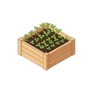 Corn Planter