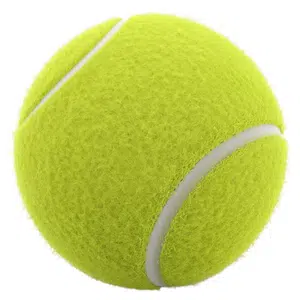 Cricket-ball | Sports Items Names for Kids
