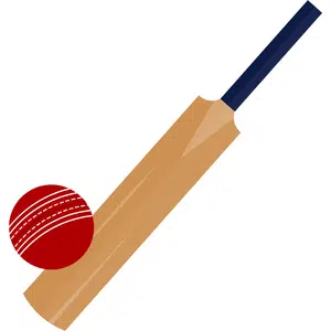 Cricket-bat | Sports Items Names for Kids