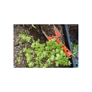 Cultivator | Garden Tools Names for Kids