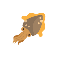 Cuttlefish