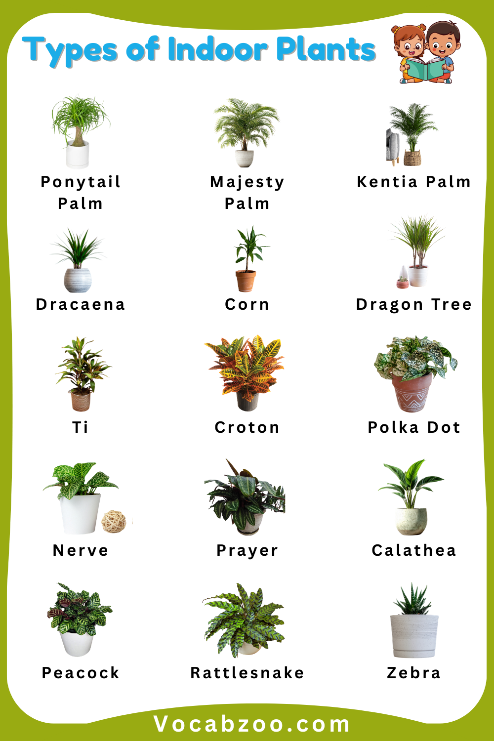 Different Names of Indoor Plants Names for Kids