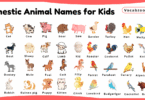 Domestic Animal Names for Kids in English with Pictures