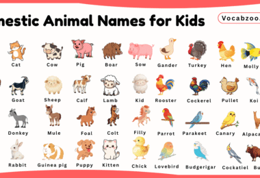 Domestic Animal Names for Kids in English with Pictures