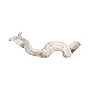 Driftwood | Beach Things Names for Kids