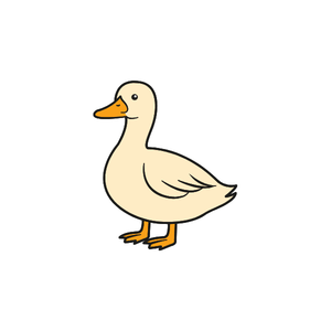 Duck | Bird Names for Kids in English with Pictures