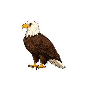 Eagle | Bird Names for Kids in English with Pictures